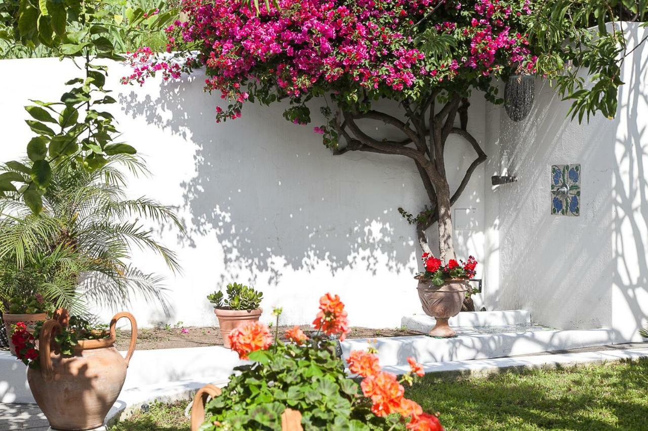 Villa Stromboli E Strombolicchio المظهر الخارجي الصورة