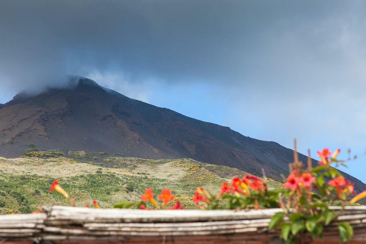 Villa Stromboli E Strombolicchio المظهر الخارجي الصورة