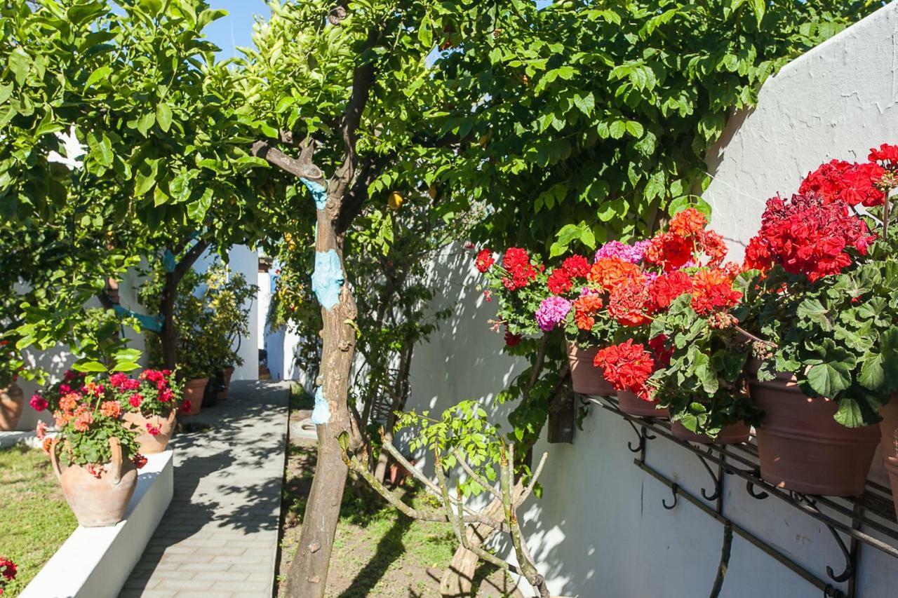 Villa Stromboli E Strombolicchio المظهر الخارجي الصورة