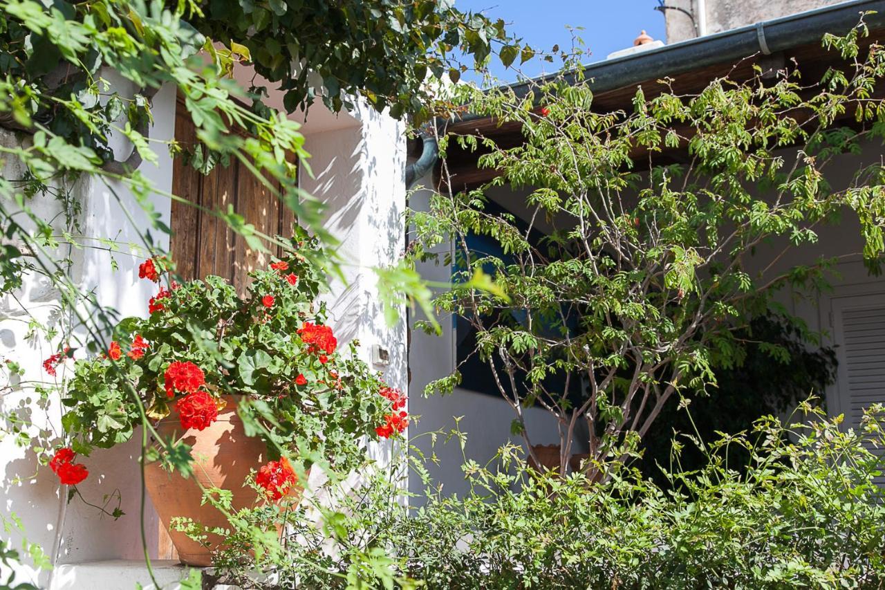 Villa Stromboli E Strombolicchio المظهر الخارجي الصورة