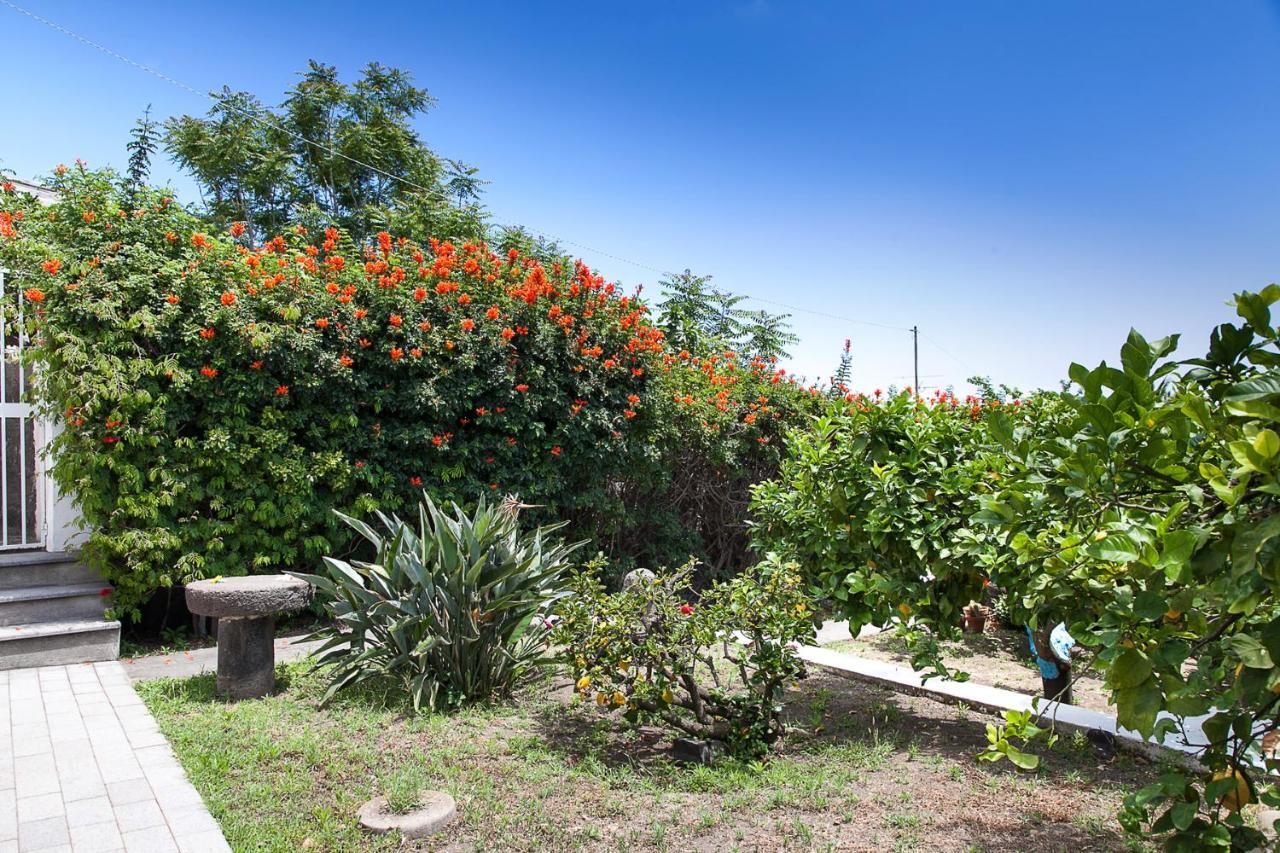 Villa Stromboli E Strombolicchio المظهر الخارجي الصورة