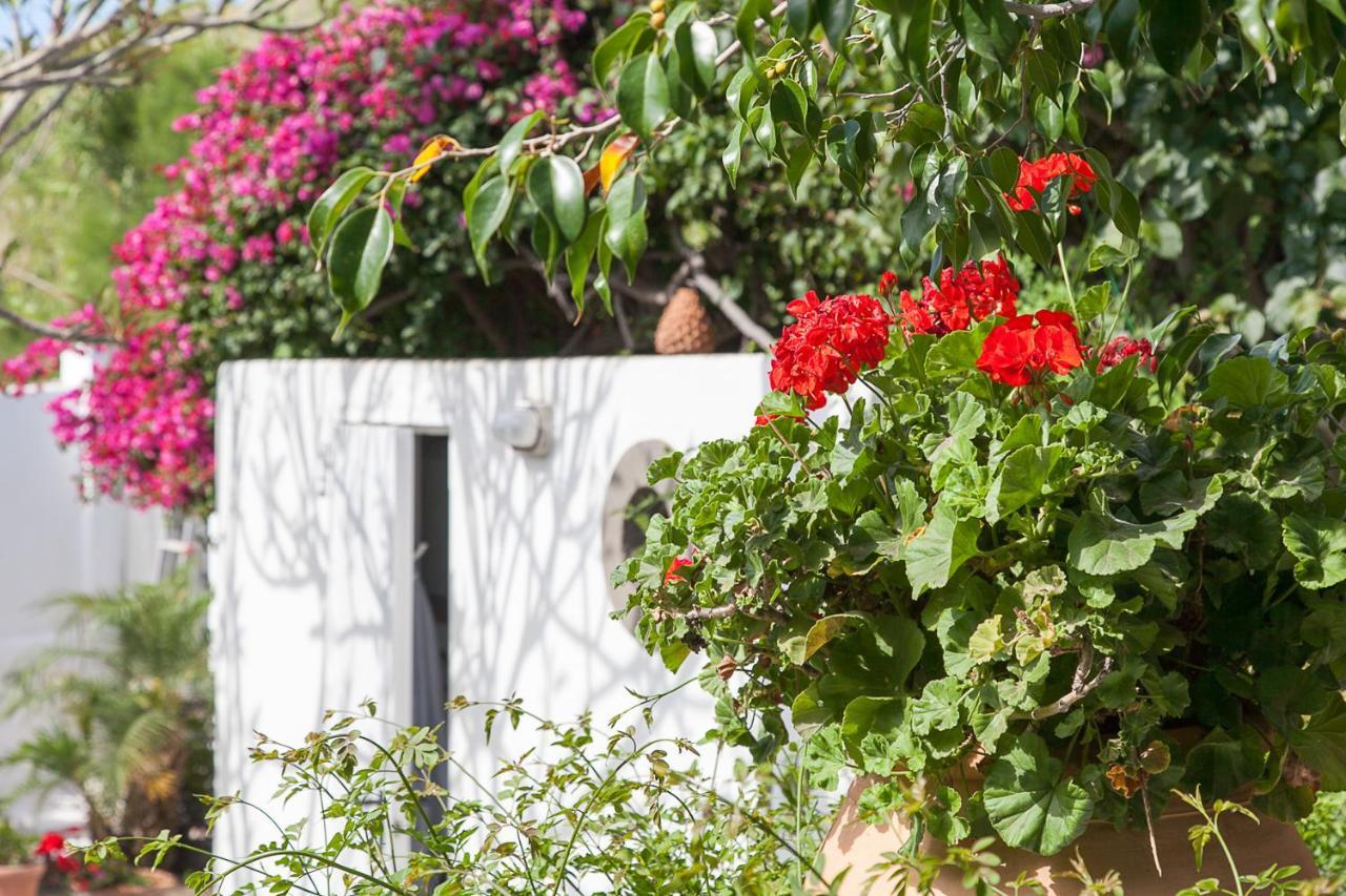 Villa Stromboli E Strombolicchio المظهر الخارجي الصورة